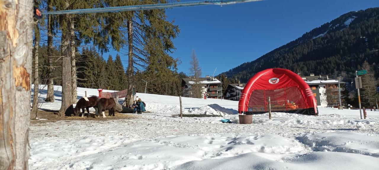 Studio Appartement Avec Piscine, Ski Porte Du Soleil Morgins, Ps3 Games, Wash & Bring Sheets ภายนอก รูปภาพ